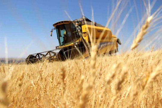 Sivas haberi | TMO, Sivas'ta Cumhuriyet tarihinin en yüksek alımını yaptı