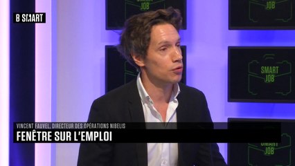 SMART JOB - Fenêtre sur l’emploi : Vincent Fauvel (Nibelis)