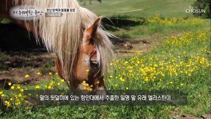 탄력 단백질 ‘엘라스틴’ 신체 탄력 관리에 GOOD TV CHOSUN 20220922 방송