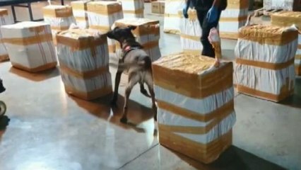 İSTANBUL'DA SAKLAMA KAPLARININ KAPAKLARINDA 73 KİLO UYUŞTURUCU YAKALANDI