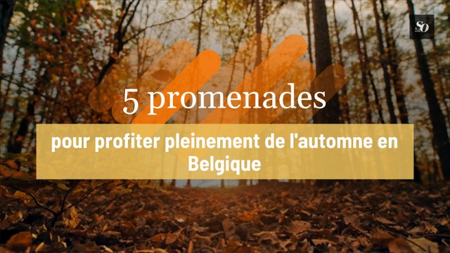 5 promenades pour profiter pleinement de l'automne en Belgique