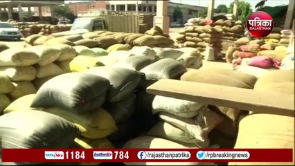 देश में गेहूं की कोई कमी नहीं, सरकार को यह क्यों कहना पड़ा ?