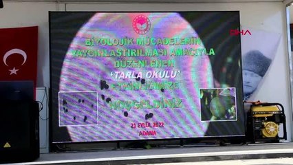 AVCI BÖCEKLER TURUNÇGİLİ KORUYACAK