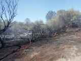 Antalya haber... Kaş'ta ağaçlandırma sahasında çıkan yangın kontrol altına alındı