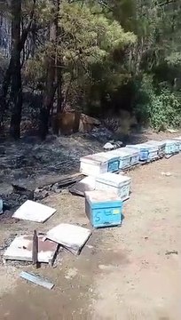 Irkçı provokatör Ümit Özdağ rezil rüsva oldu! İçişleri'nden Özdağ'a tarihi ders