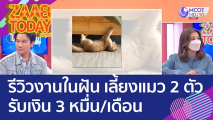 สาวรีวิวงานในฝัน 'เลี้ยงแมว 2 ตัว' รับเงินสบายๆ 3 หมื่น/เดือน (22 ก.ย. 65) แซ่บทูเดย์