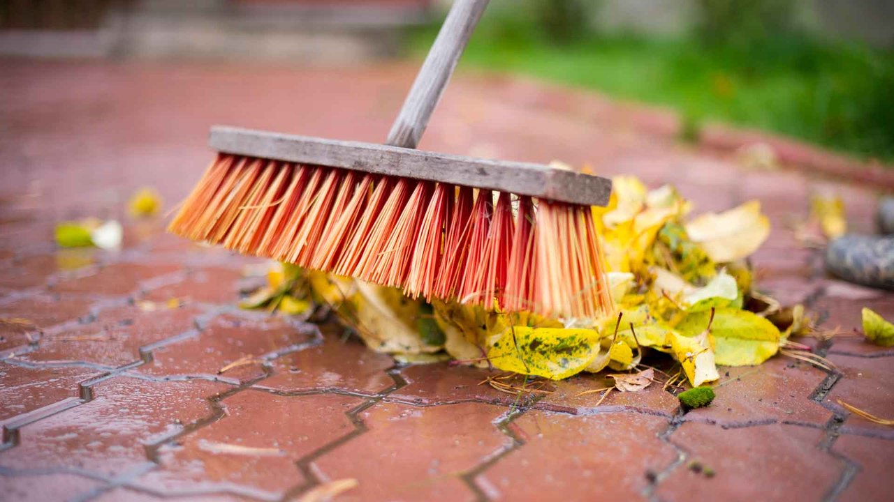 Laub fegen: Muss ich die Blätter auf dem Gehweg beseitigen?