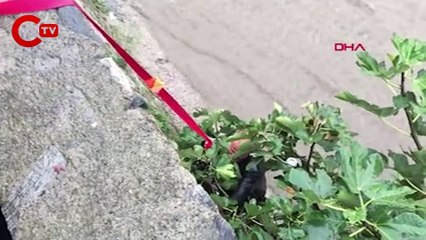 Debisi yükselen dereye düşüp sürüklendi, polisin uzattığı iple kurtuldu