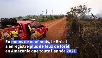 Les pompiers luttent contre les incendies dans l'État brésilien de l'Amazonas