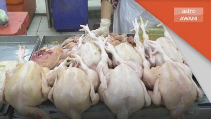 Harga Ayam | Tiada sebab harga naik, kerajaan beri subsidi