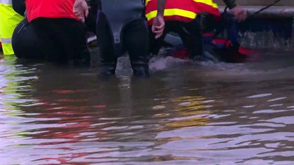 Quase 200 baleias morrem encalhadas em praia na Austrália