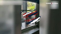Penceresini tıklattı, canavar sandı! Korku dolu anları sosyal medyadan paylaştı