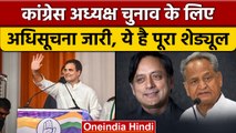 Congress president election 2022: कौन-कौन हैं प्रबल दावेदार | वनइंडिया हिंदी |*News