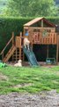 Golden Retrievers Apprehensive About Slide