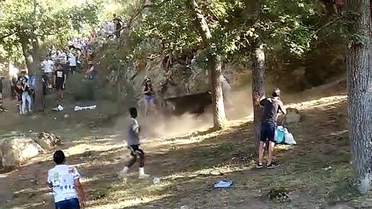 WhatsApp Video 2022-06-19 at 11.38.33 PM.mp4