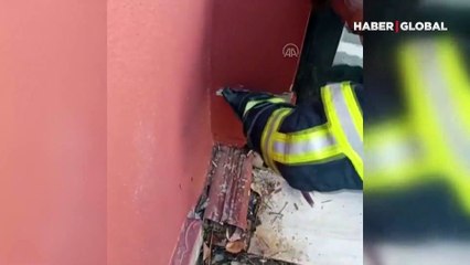 Duvara sıkışan yavru kedileri itfaiye kurtardı... O anlar kamerada