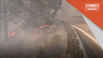 Kebakaran | 4,400 anggota bomba terlibat operasi di California