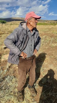 NİĞDE'DE SELE KAPILAN 75 KÜÇÜKBAŞ ÖLDÜ