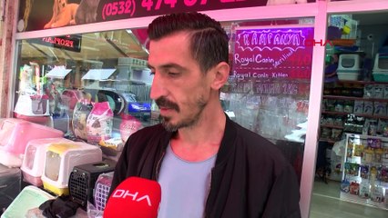 Sevmek için köpeği kucağına almışlardı: Çaldılar