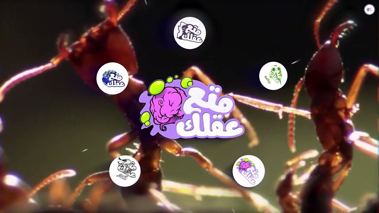 لماذا يخاف الفيل من النملة اكثر من الأسد ؟