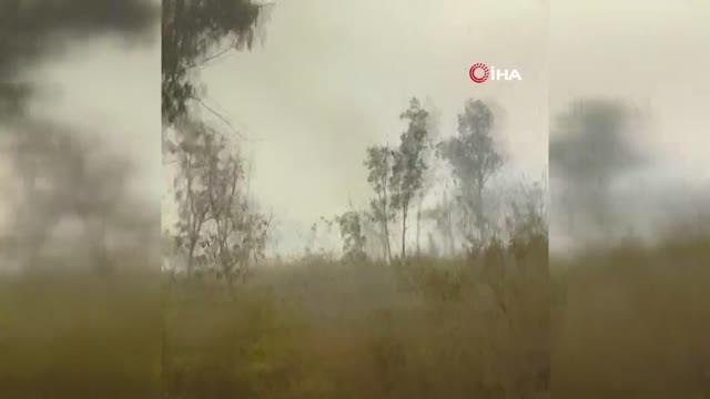 Antalya haberleri | Kaş'ta ormanlık alan yangınına havadan ve karadan müdahale ediliyor