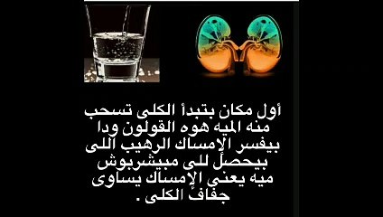 هل تعلم أن عدم شرب الماء يتسبب في جفاف الكلي 