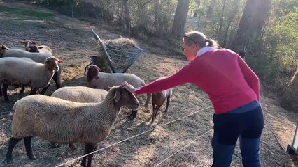 Côté Saveurs à la ferme