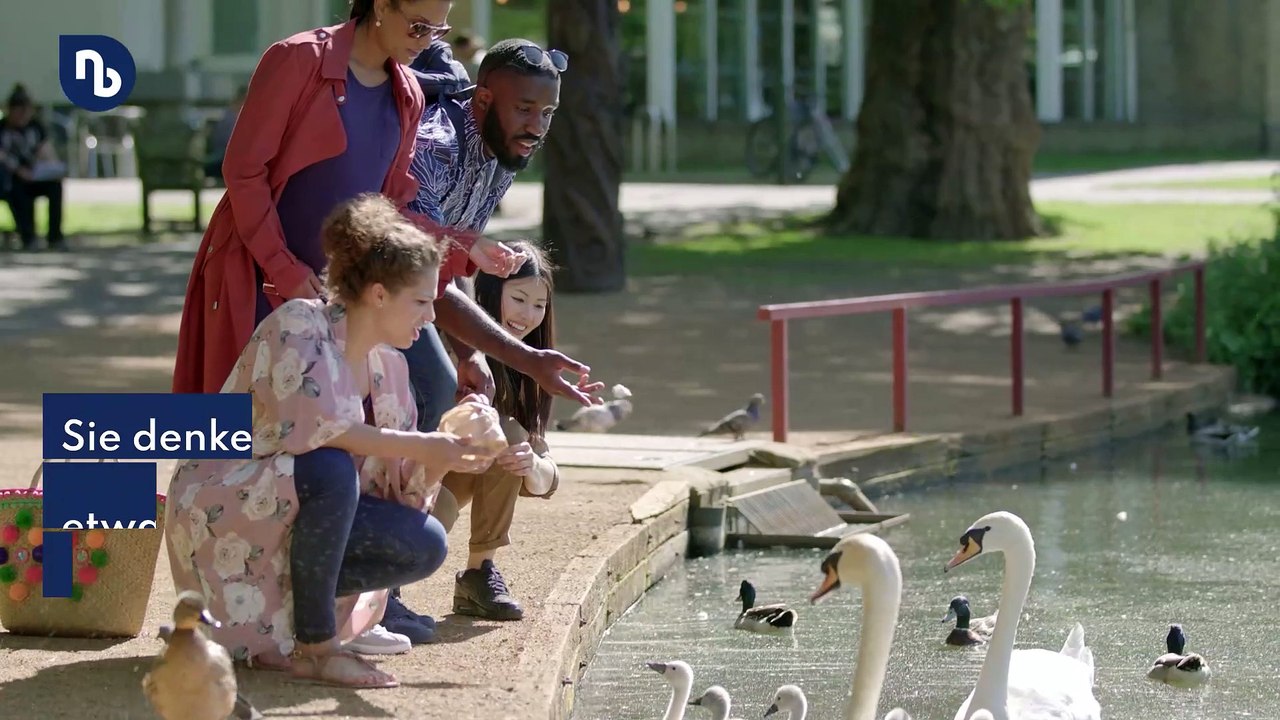 Darum sollten Sie Enten nicht mit Brot füttern