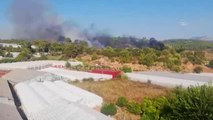 Son dakika haber! Kumluca'da orman yangını çıktı