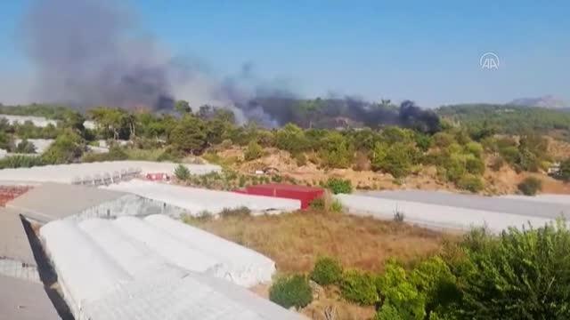 Son dakika haber! Kumluca'da orman yangını çıktı