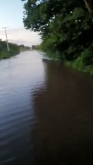 Se desborda río en Hato Viejo, comunidades quedan incomunicadas