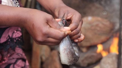 Kamerun'da dondurulmuş balığın alternatifi isli balık yaygın tüketiliyor