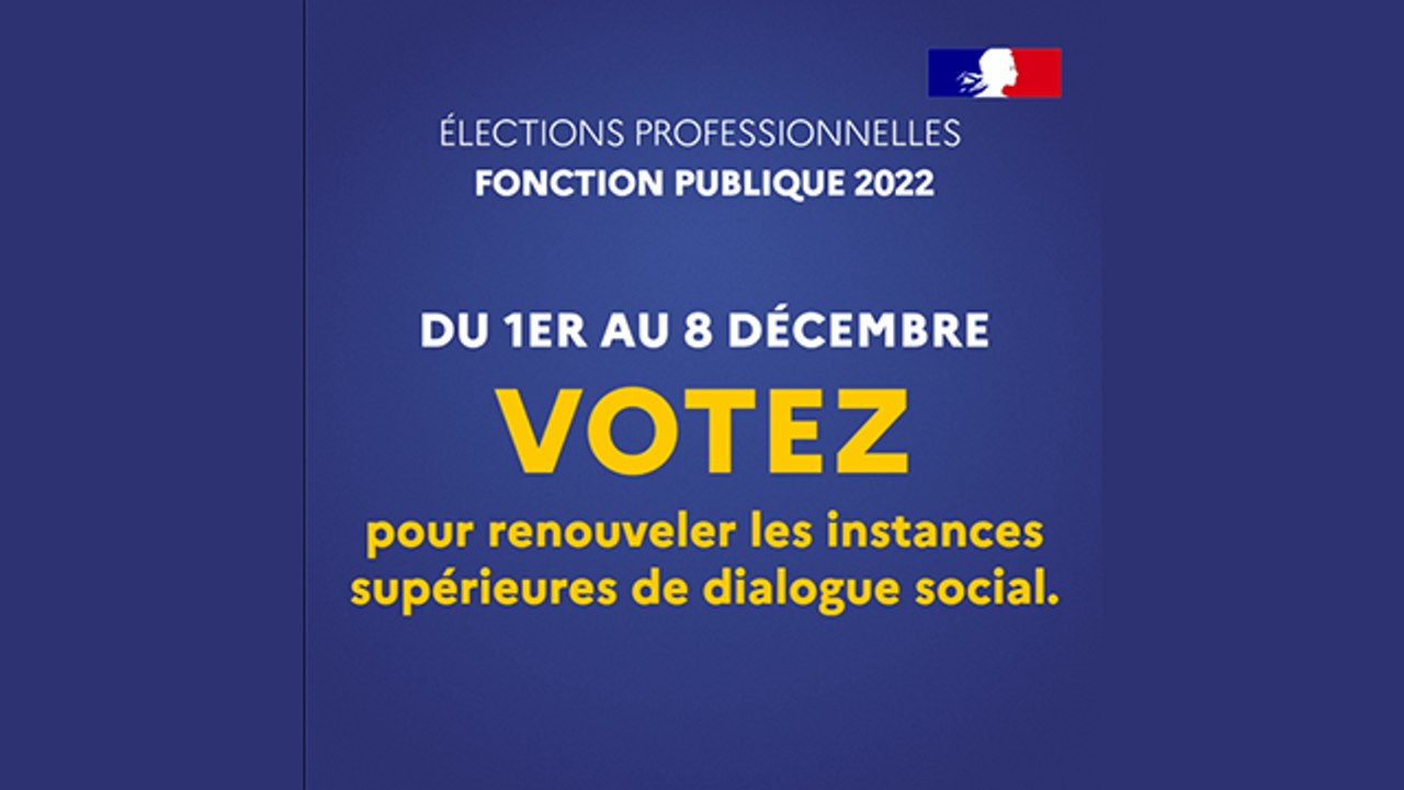 Les élections professionnelles dans le fonction publique 2022 - Votez pour renouveler les instances sociales supérieures du dialogue social