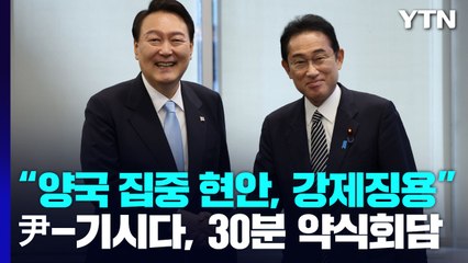 尹-기시다, 30분 약식회담..."양국 집중 현안, 강제징용" / YTN