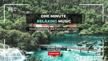 Relaxing music for studying mind relaxing music