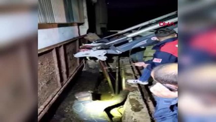 GÜBRE ÇUKURUNA DÜŞEN YAVRU KÖPEĞİ KALP MASAJIYLA HAYATA DÖNDÜRDÜLER