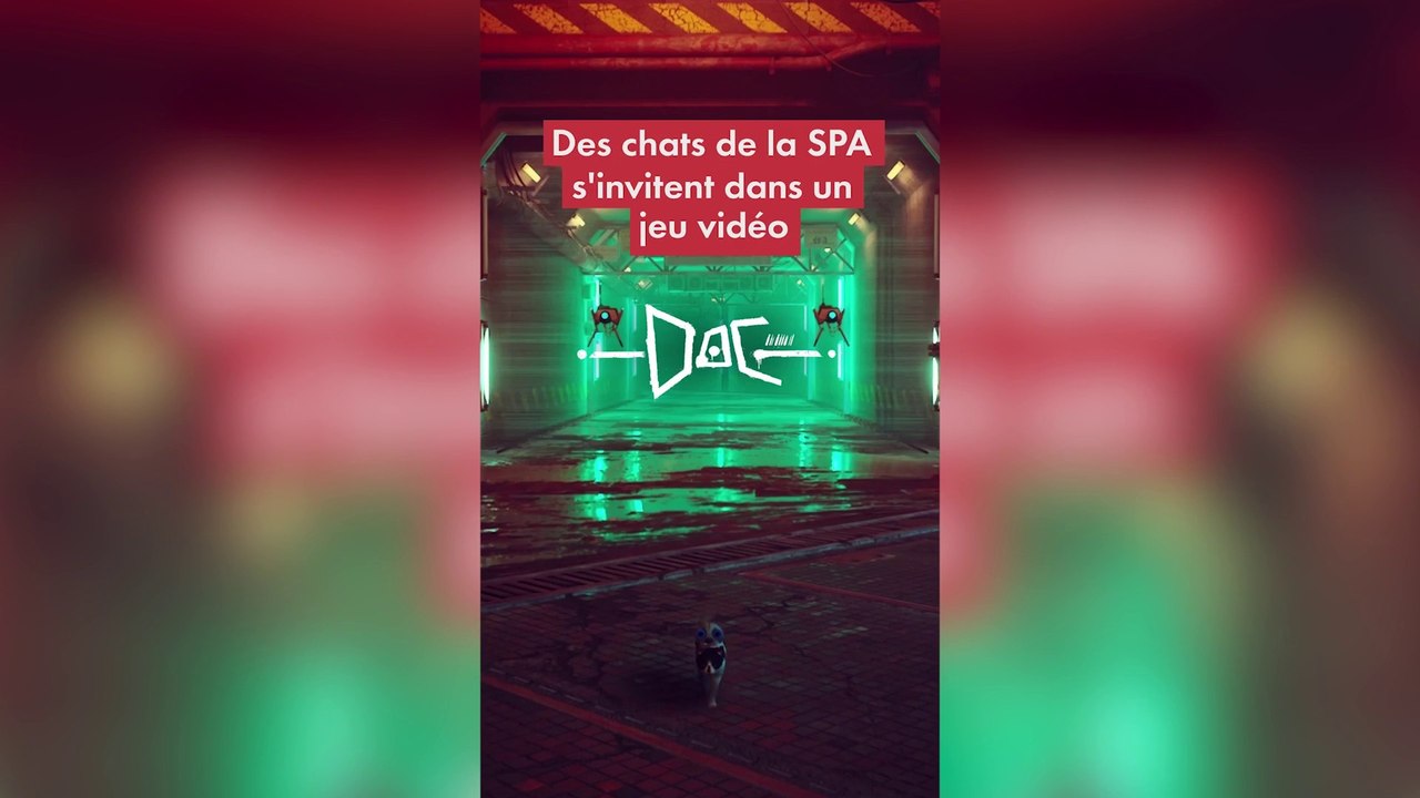 La SPA sensibilise à l'adoption des chats dans un jeu vidéo