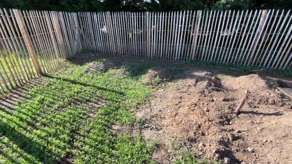 Roanne est la première ville de la Loire à avoir un cimetière pour animaux