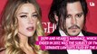 Johnny Depp Is Dating Married Lawyer Joelle Rich: 'It's Serious'