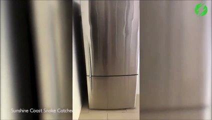 Ce qu'il découvre dans son frigo fait froid dans le dos