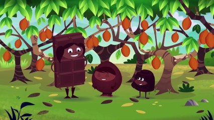 EML: El maravilloso bosque de chocolate / Series educativas