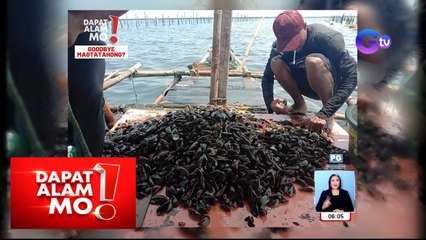 Magtatahong at magbabaklad sa Navotas City, nanawagan matapos pagbawalang makapagsampa ngayong taon! | Dapat Alam Mo!