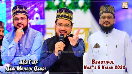 Best of Qari Mohsin Qadri - Beautiful Naat's & Kalam 2022 #ARYQtv