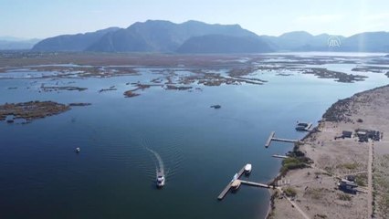 Dünyaca ünlü Dalyan İztuzu plajında deniz dibi temizliği