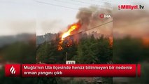 Ula’da yerleşim yerlerine yakın noktada orman yangını