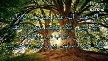 Sahih Bukhari Hadees No.23 _ Hadees Nabvi in Urdu _ Bukhari Hadees _ Bukhari Shareef in Urdu