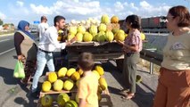 Karayolu kenarındaki kavun pazarı ilgi görüyor