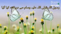 Sahih Bukhari Hadees No.26 _ Hadees Nabvi in Urdu _ Bukhari Hadees _ Bukhari Shareef in Urdu