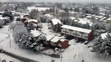 Snow Day by  Chitralekha Dixit
