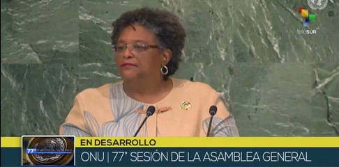 Premier de Barbados aboga por reformar Consejo de Seguridad de la ONU